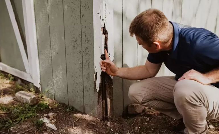 A man inspects a wooden door for damage caused by moisture and pests to prevent costly repairs.