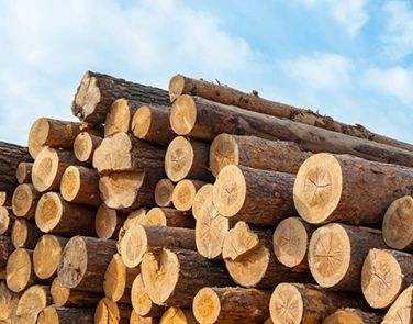 Timber teak wood provides eco-friendliness, strength, and durability, perfect for lasting construction.